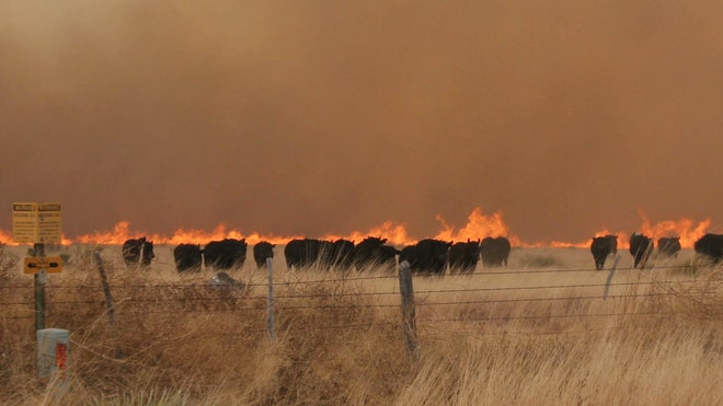 texas wildfire